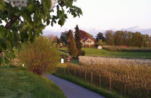 Baumanns Ferienhof Am See - Foto 36