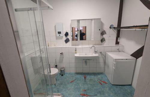 Alte Dorfschule, FeWo mit Mittelalter Zimmer - Foto 3