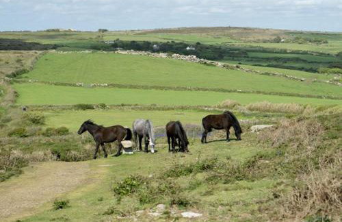 2 Bed in Penzance oc-36733 - Foto 21