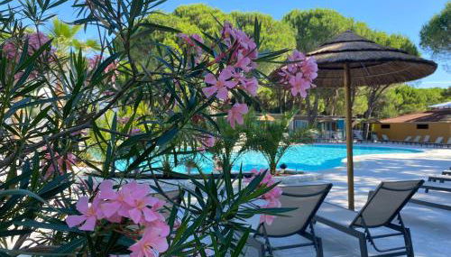 Dune Prestige & Chalets - Foto 3, Garden, sunbed