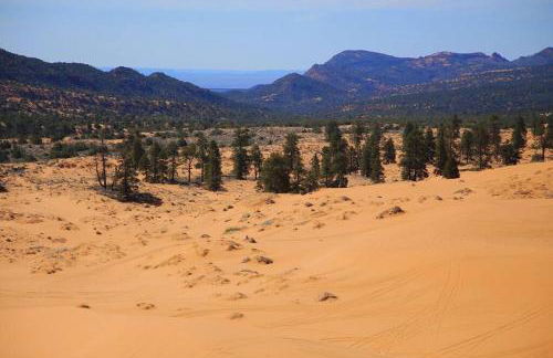 Cozy Zion farmhouse, cool or hot swim spa, fireplace & firepit - Foto 37