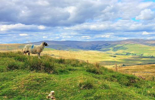 Beebole Cottage - Foto 29