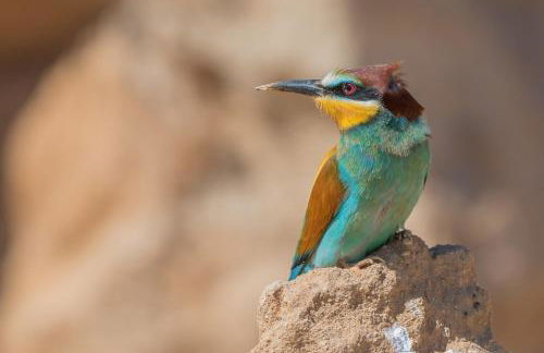 Fontes Bárbaras Enoturismo - Foto 64