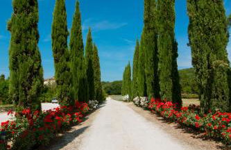 Relais Santa Margherita - Foto 32