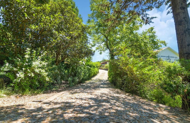 Upscale Villa With Swimming Pool and Terrace - Foto 23