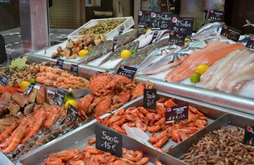 Charmant Studio avec extérieur - Photo 7