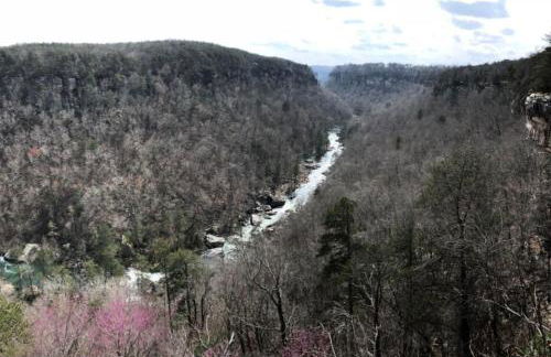 Canyon A-Frame Cabin - Fire Pit, Sauna, Hiking - Foto 32