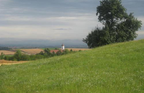 Ferienhaus Fam. Fuhrer - Foto 10