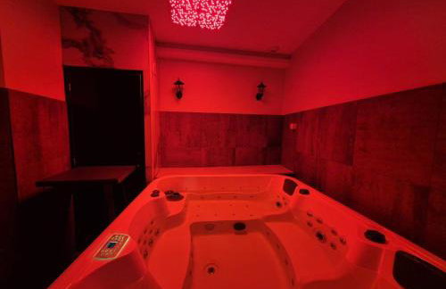 Appartement Spa - Jacuzzi privatif - Fer Rêver 63 - Foto 14