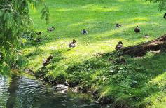 FEWO BEI LEHMANNS - Foto 24