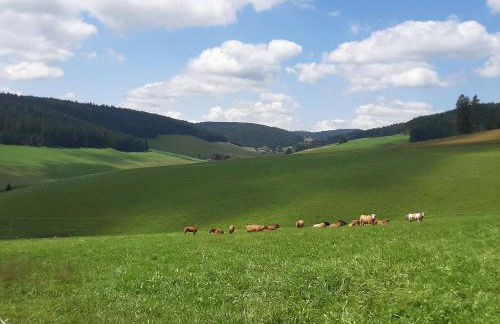 Haus Zum Sternen - Photo 10