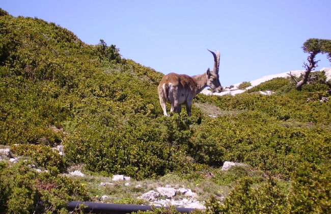 Ca Les Barberes - Photo 17