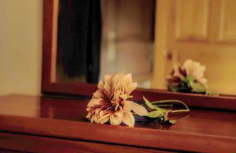 Casa Sabelín - Foto 38