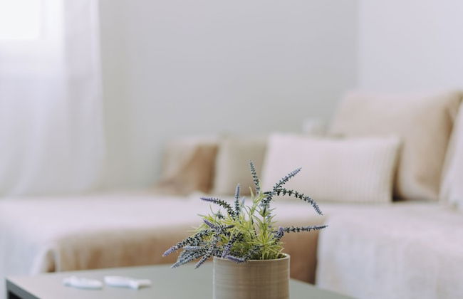 Lithostroto Suites - Foto 37