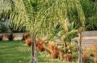 Manolis Seaside Villa with Private Pool - Foto 18