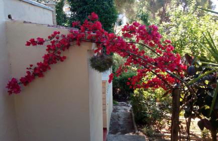 Casa Montse - Foto 27