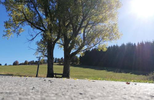 Haus Schnurbus - Foto 45