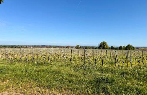 Ferienwohnung Talblick - Foto 9