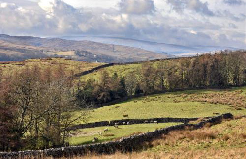 Finest Retreats - Dales Barn Top - Foto 33