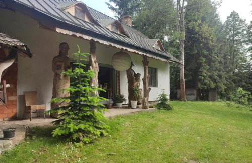 Gościniec Kotowina - Foto 4