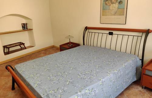 Il gelsomino - Photo 12