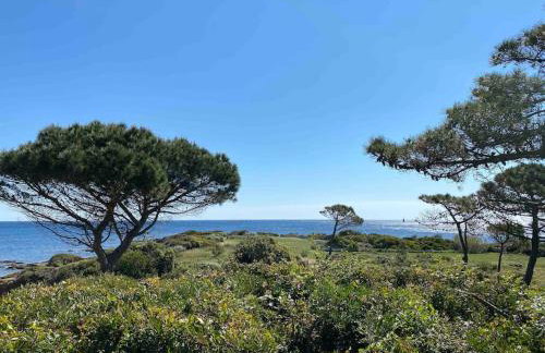 Beau 2 pièces, Magnifique vue mer et piscine - Photo 42