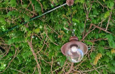 Casa Vacanze Vista Mare ad Acciaroli località Mezzatorre - Foto 45