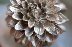 Für Gruppen und Familien - große Ferienwohnung Nähe Stadtpark, 4 Schlafzimmer, 2 Bäder, Terrasse, Parkplatz - Foto 24