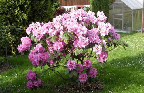 Ferienwohnung Dagmar Mergen - Photo 8