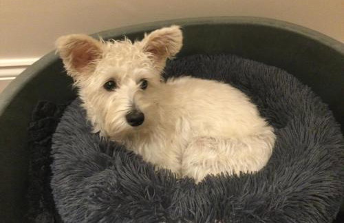 STACK YARD COTTAGE. - Photo 16