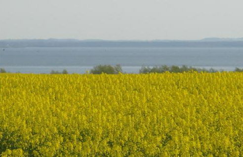 Holiday Home Zum Anleger I - Foto 16