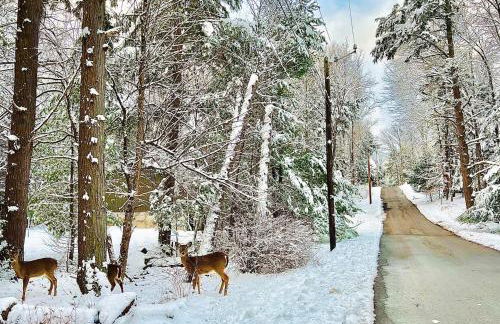 renovatedhot tublake accesspedal boatcozychic - Foto 32