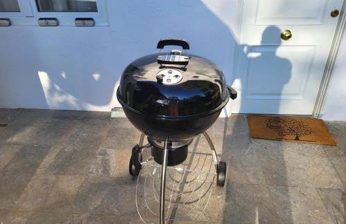 FINCA PALMERS DOS - Photo 8