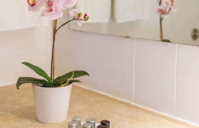 The Navigator - Olympus - Foto 25