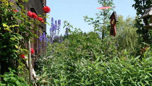 Ferienhof Hiemer - Foto 4