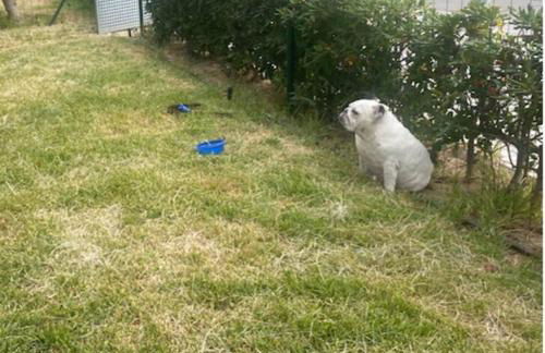 Piso delante de la playa La Pineda con 2 habitaciones - Photo 19