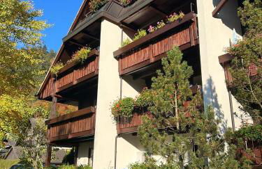 Ferienhaus Albmatte-Sauna im Haus-gemütliche Apartments - Foto 21