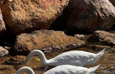 Palais 5min Luxury&Cinema Studio - Foto 25