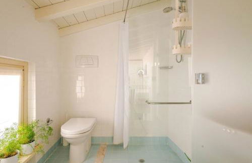 Violino green - Foto 15