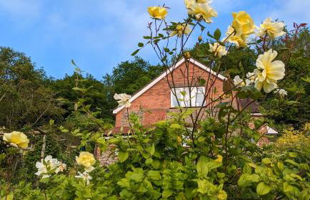 Rose Cottage - Foto 37