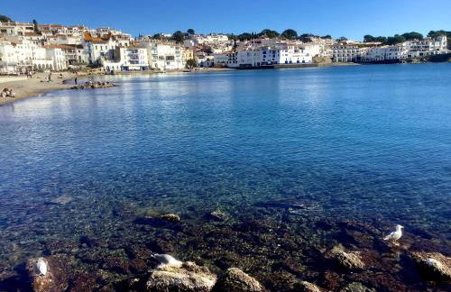 FONOLL MARÍ - ROSES FAR - Photo 23