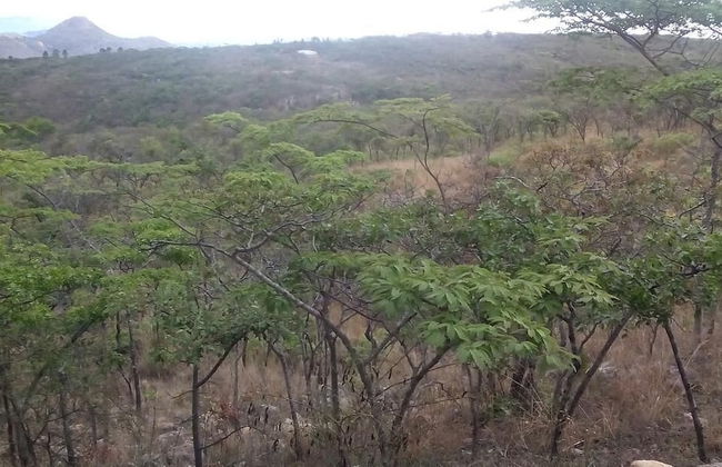 Paz Cottage - Foto 23