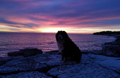 FERIENHAUS GRETA - Photo 29