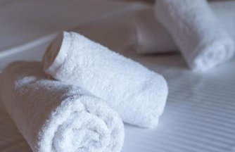 Aethra Nature's Sanctuary - Foto 44