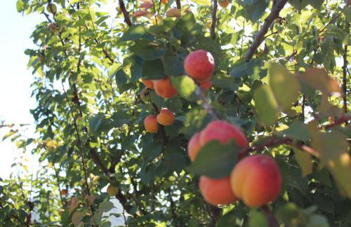 Casa Fasano Amalfi Coast - Foto 44
