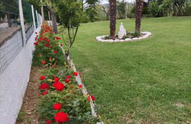 Cara Pace in collina per gruppi - Foto 15