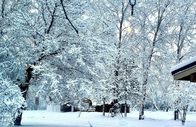 Hannon House - Photo 64