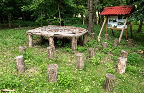 Apartman Plavac - Foto 54