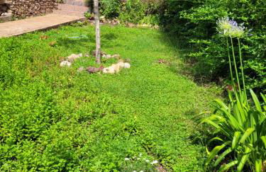 Trocito de Paraíso en la Sierra Espadán - Foto 44