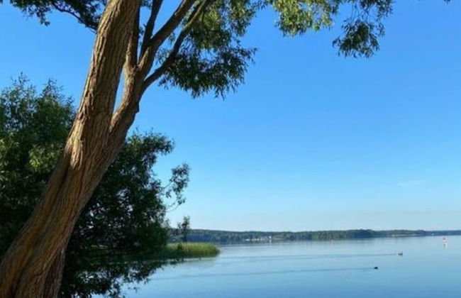 Langheinrich Comfortable Holiday Residence - Foto 16